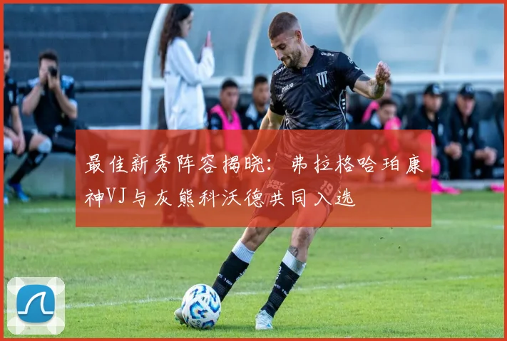 最佳新秀阵容揭晓：弗拉格哈珀康神VJ与灰熊科沃德共同入选