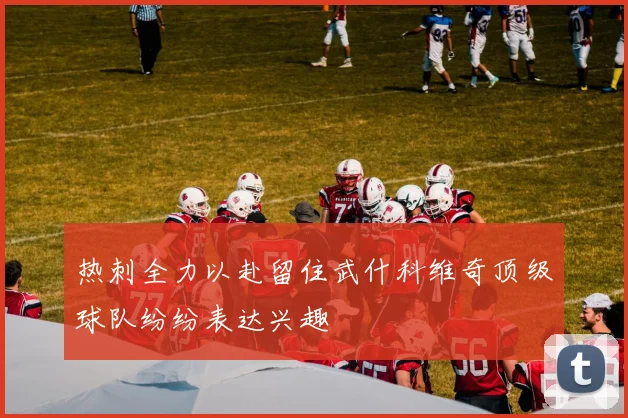 热刺全力以赴留住武什科维奇顶级球队纷纷表达兴趣